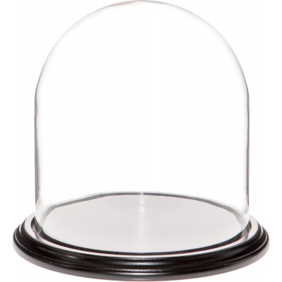 Plymor Brand 9.75" x 10" Glass Display Dome Cloche (Black Wood Veneer Base) 840003144154  202344660448